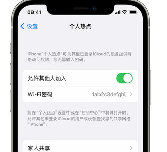 张港镇apple服务站点分享iPhone上个人热点丢失了怎么办