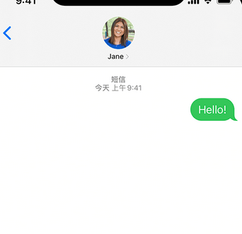 张港镇apple维修iPhone上无法正常发送iMessage信息