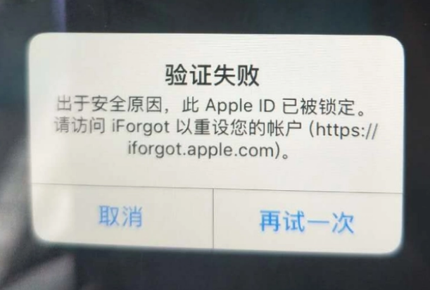 张港镇iPhone维修分享iPhone上正常登录或使用AppleID怎么办 