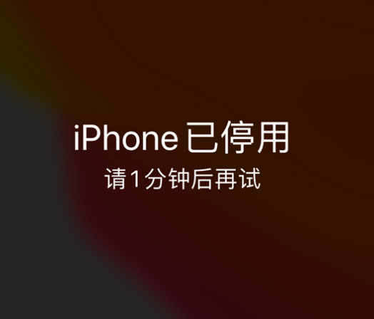 张港镇苹果手机维修分享:iPhone 显示“不可用”或“已停用”怎么办？还能保留数据吗？ 