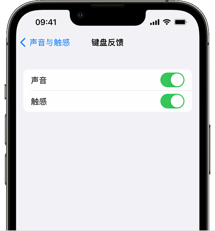 张港镇苹果14维修店分享如何在 iPhone 14 机型中使用触感键盘 