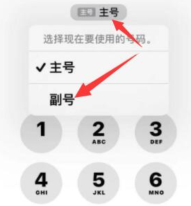 张港镇苹果14维修店分享iPhone 14 Pro Max使用副卡打电话的方法 