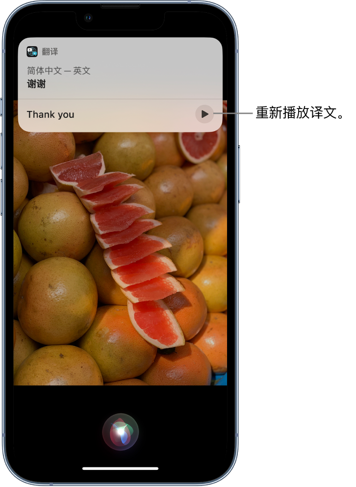 张港镇苹果14维修分享 iPhone 14 机型中使用 Siri：了解 Siri 能帮你做什么 