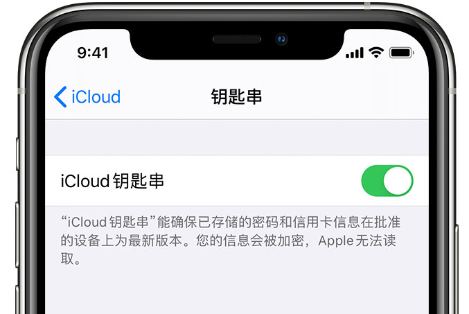 张港镇苹果手机维修分享在 iPhone 上开启 iCloud 钥匙串之后会储存哪些信息 