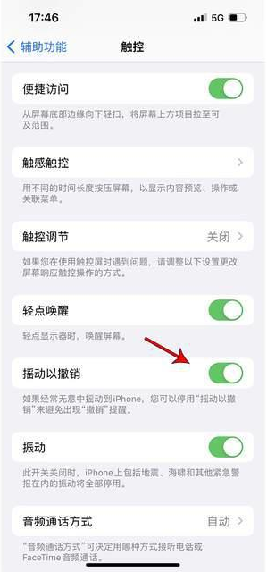 张港镇苹果手机维修分享iPhone手机如何设置摇一摇删除文字 