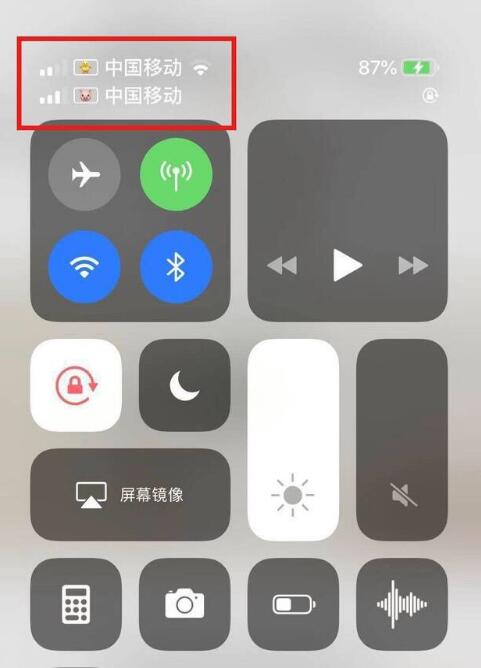 张港镇苹果手机维修分享为 iPhone 12 双卡设置标签 