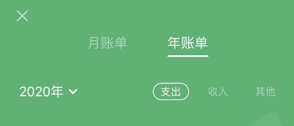 张港镇苹果手机维修分享如何在 iPhone 上查看支付宝和微信年支出账单 