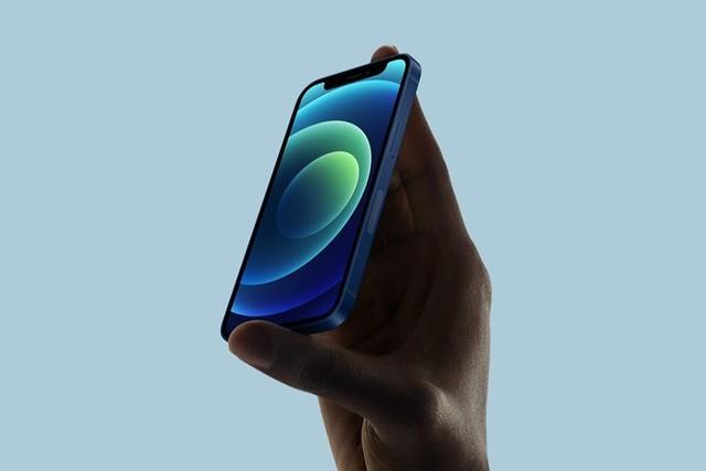 张港镇苹果手机维修分享iPhone 12 mini辐射很大吗 